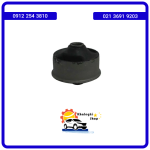 بوش طبق بزرگ لیفان 620