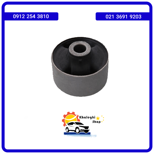 بوش طبق بزرگ لیفان X50