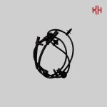 سنسور abs چرخ جلو جک s3