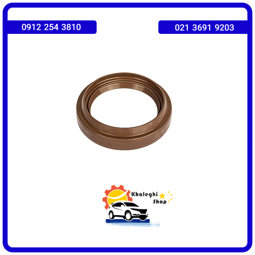 کاسه نمد پلوس لیفانX50