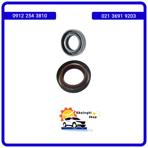 کاسه نمد پلوس ام وی ام X22