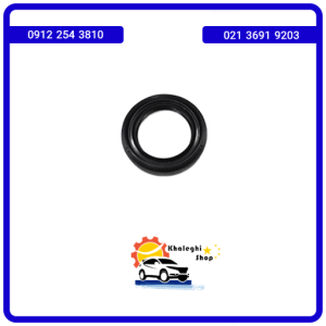 کاسه نمد پلوس جک S5