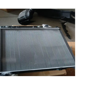 رادیاتور آب دیگنیتی پرستیژ/خرید لوازم یدکی دیگنیتی پرستیژ